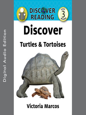 cover image of Discover Turtles & Tortoises